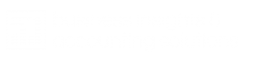 Business Insights & Accounting Solutions